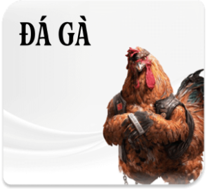 icon đá gà u888